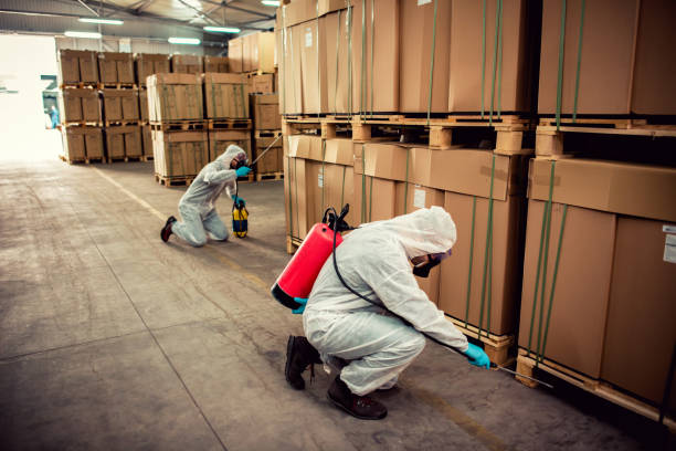 Best Exterminator Services  in Erath, LA