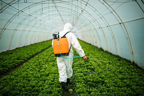 Best Pest Removal Services  in Erath, LA