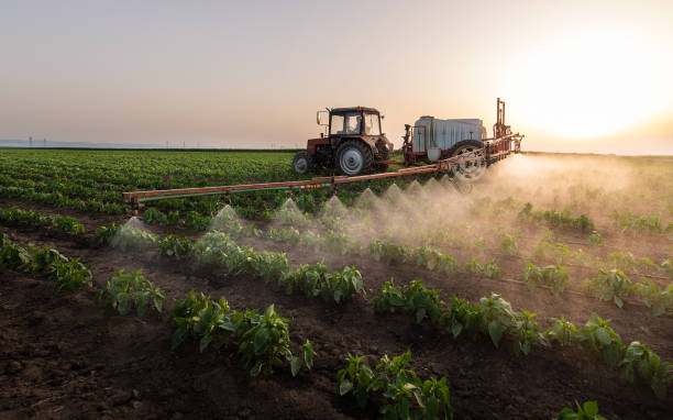 Best Commercial Pest Control Services  in Erath, LA