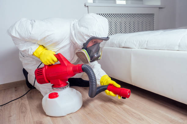 Best Affordable Pest Control Services  in Erath, LA