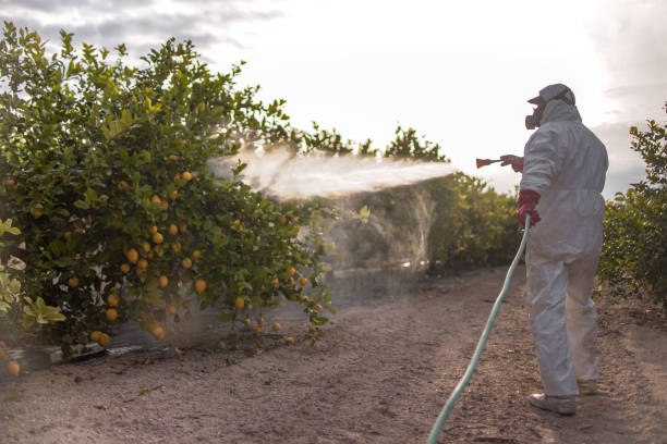 Best Wildlife Control Services  in Erath, LA