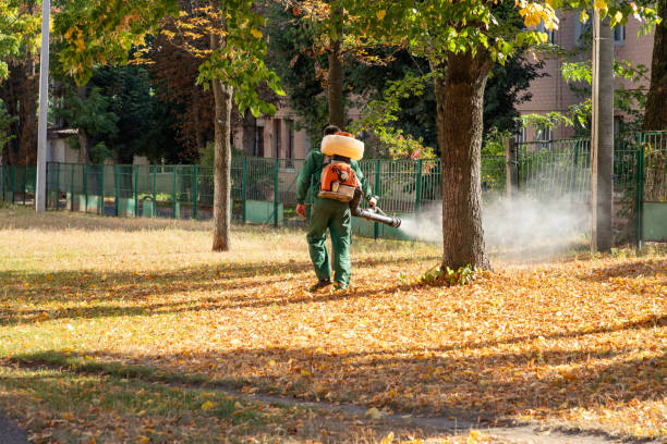Best Cockroach Control Services  in Erath, LA