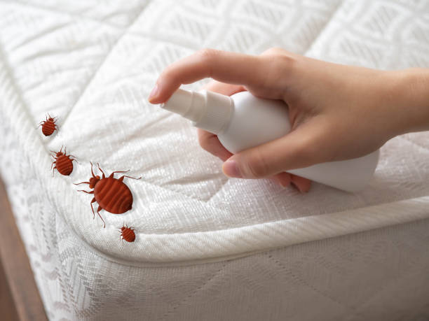 Best Pest Prevention Services  in Erath, LA